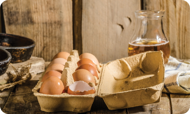 Free range eggs in a carton on a shelf